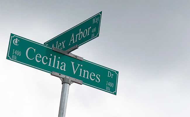 Venetian Pines Street Sign